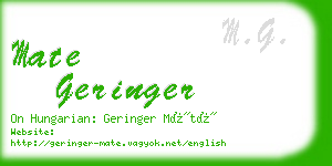 mate geringer business card